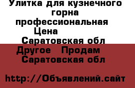 Улитка для кузнечного горна профессиональная › Цена ­ 13 000 - Саратовская обл. Другое » Продам   . Саратовская обл.